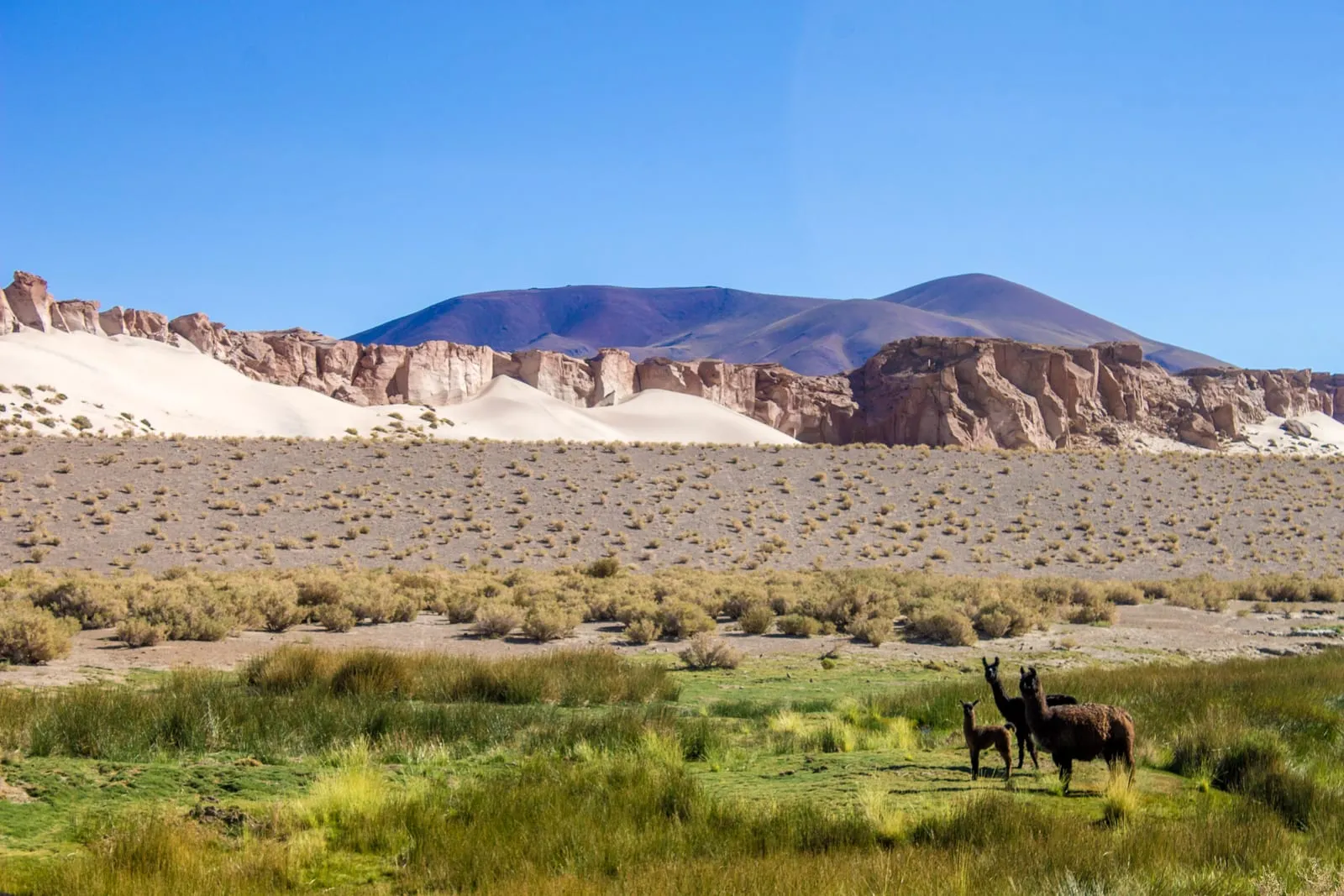 Volcan Galán : la plus grande caldeira du monde