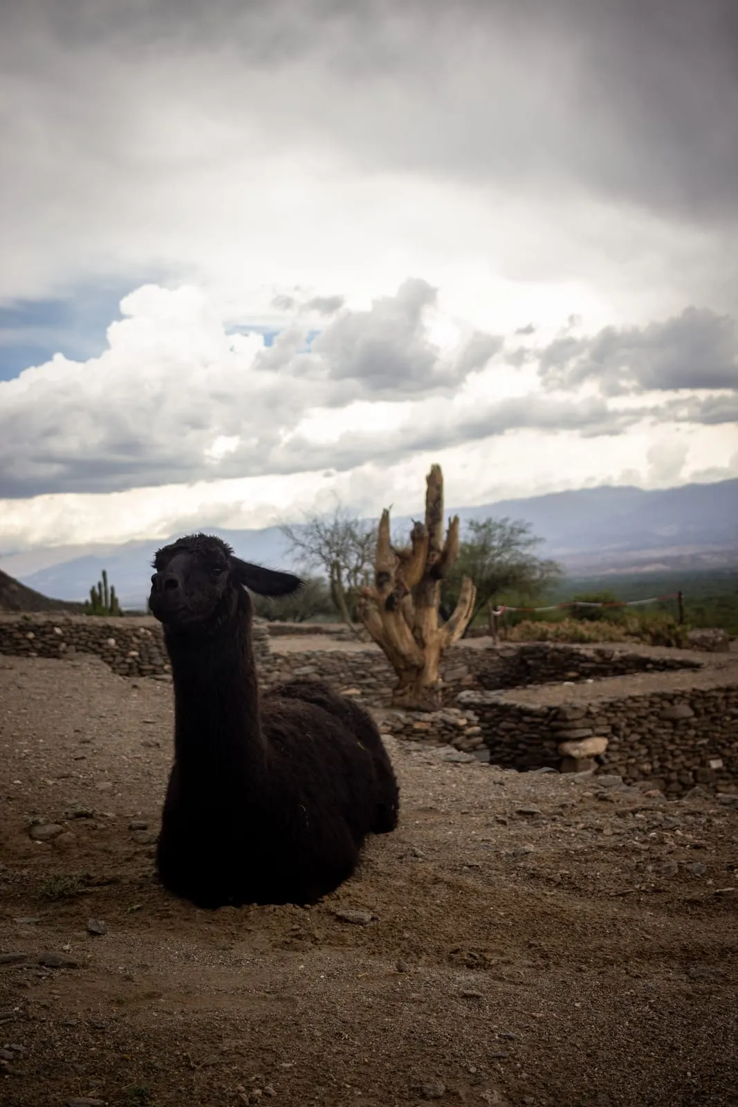 Quilmes - Muros ancestrales