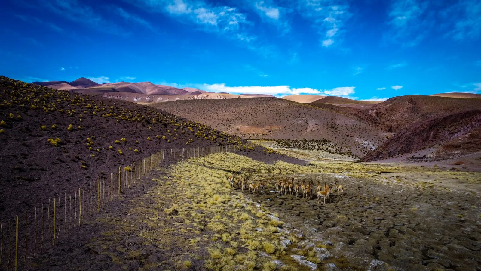 Galan Volcano - photo 2