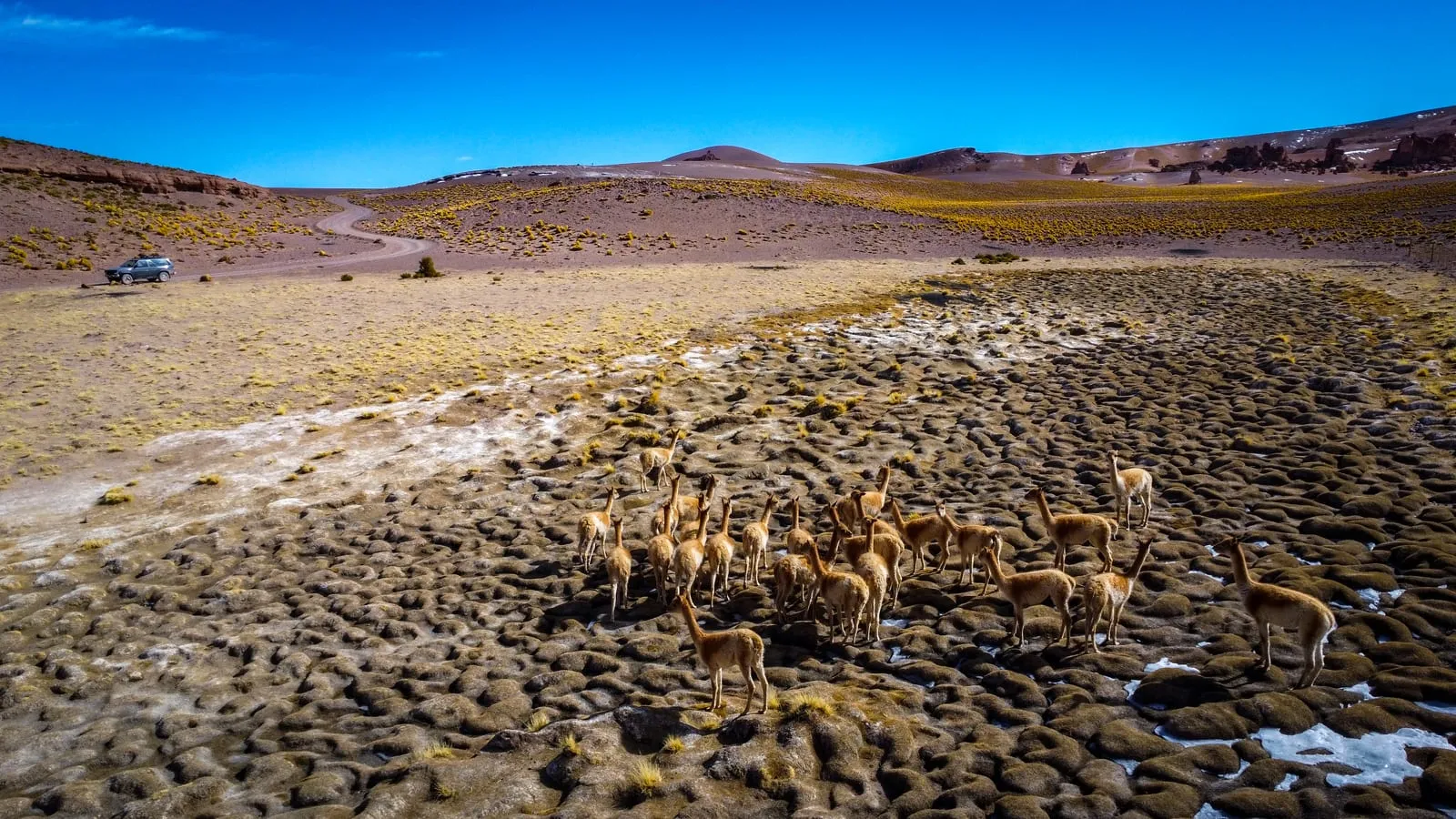 Mallku Experience 4x4